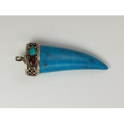 turquoise tooth